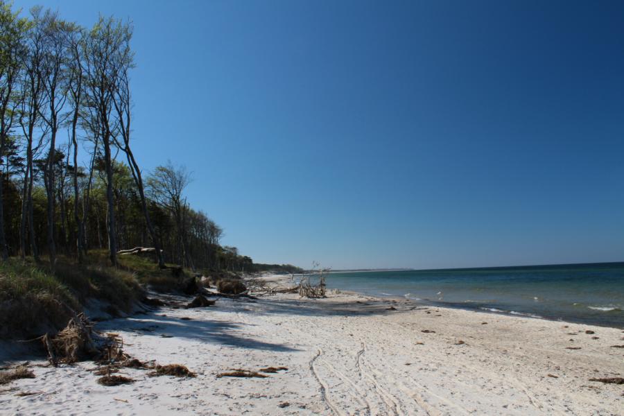 Strand bei Wieck